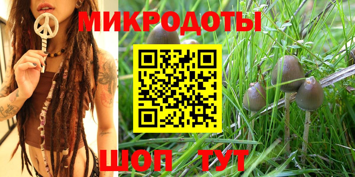 Галлюциногенные грибы MAGIC MUSHROOMS  Псилоцибиновые грибы мицелий  Вход с VPN  Зима 