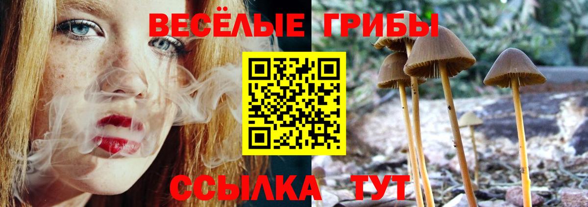 Псилоцибиновые грибы мицелий Зима